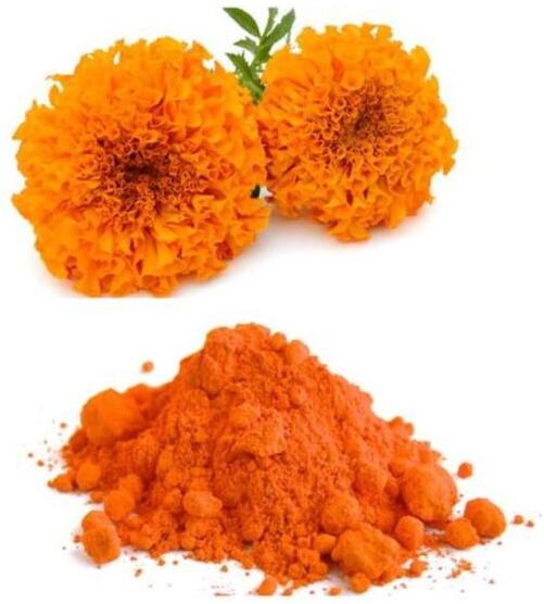 Marigold Extract Lutein.jpg