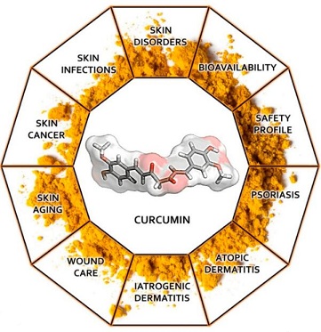 curcumin Application.jpg