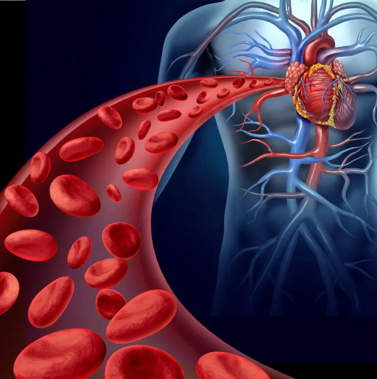 Cardiovascular Health_看图王.jpg