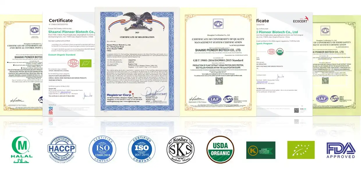 Certificates.jpg