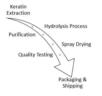 Flow Chart Flow Chart