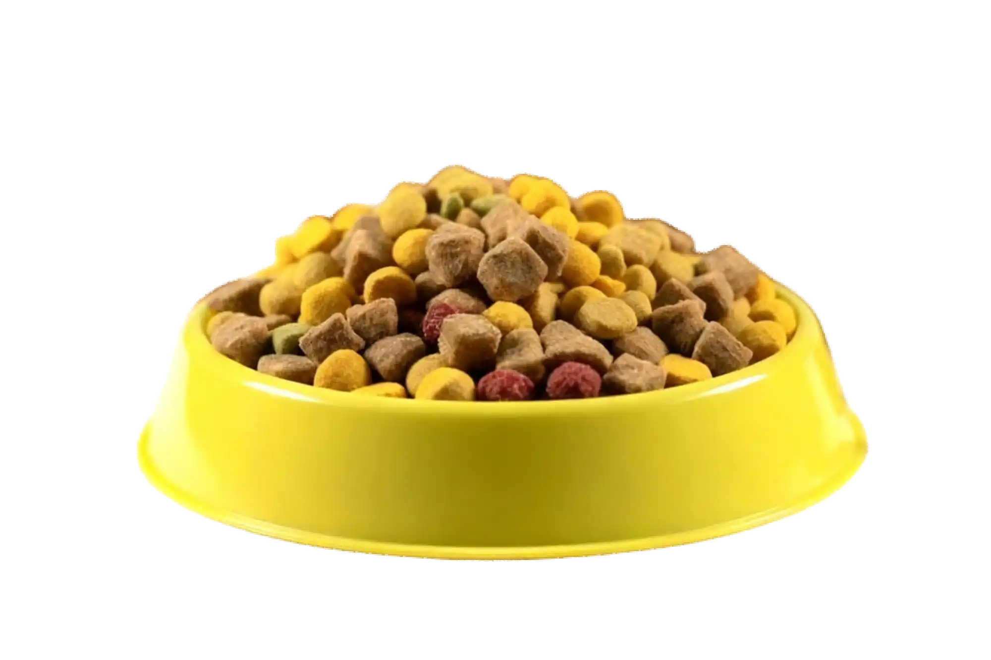 Animal feed and pet nutrition