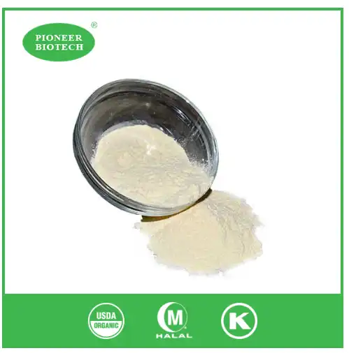 Seramid Girişi.png Seramid Girişi.png