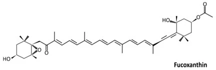 Fucoxanthin Powder.jpg