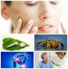 Core Product Functions Core Product Functions