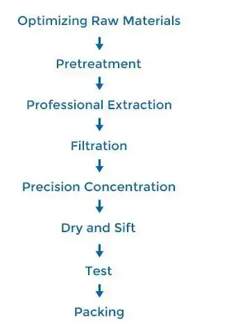 Beta Ecdysterone Bulk Powder Process