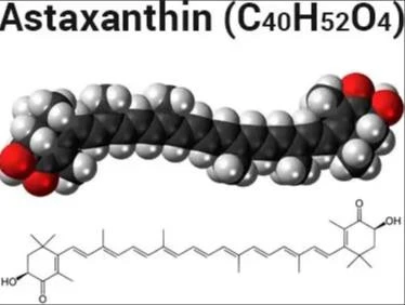 blog-374-282 blog-374-282