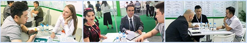 Exhibitions Exhibitions