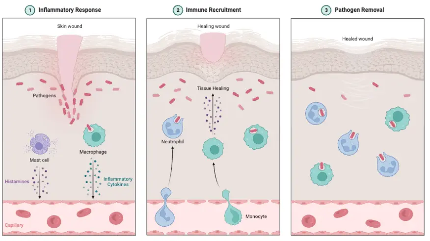 product-876-491 product-876-491