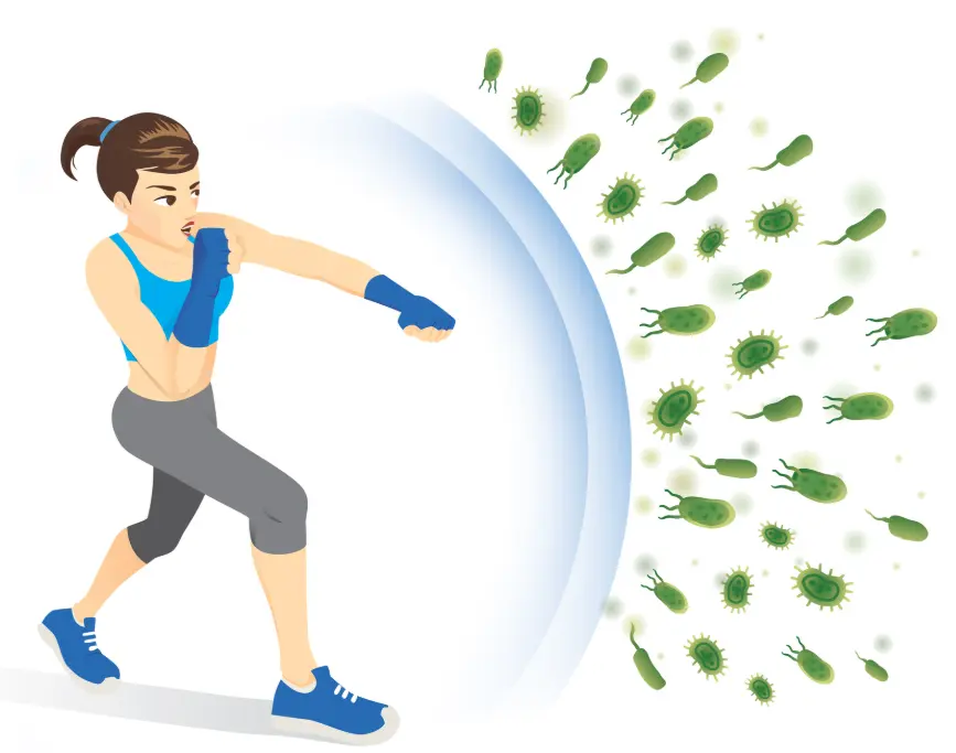 product-867-683 product-867-683