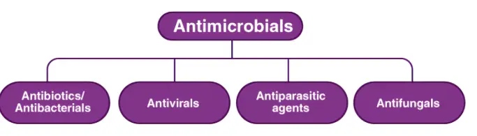 product-683-195 product-683-195