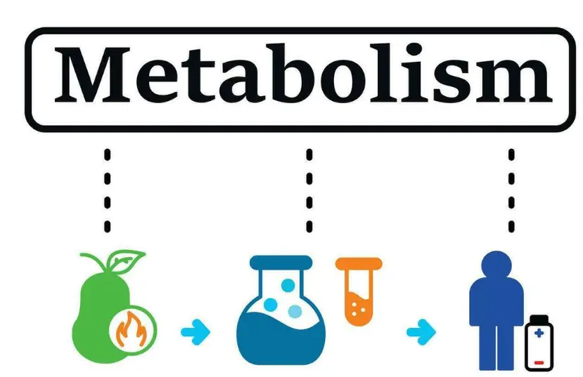 product-829-537 product-829-537