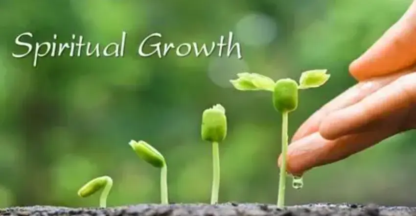 product-850-441 product-850-441