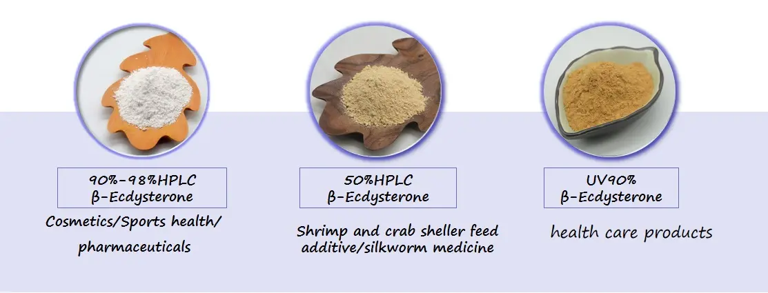  beta-ecdysone