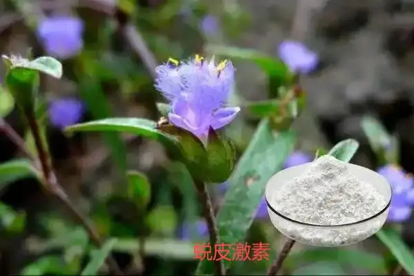 Beta-Ecdysone Beta-Ecdysone