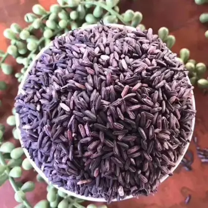 Pure purple rice powde