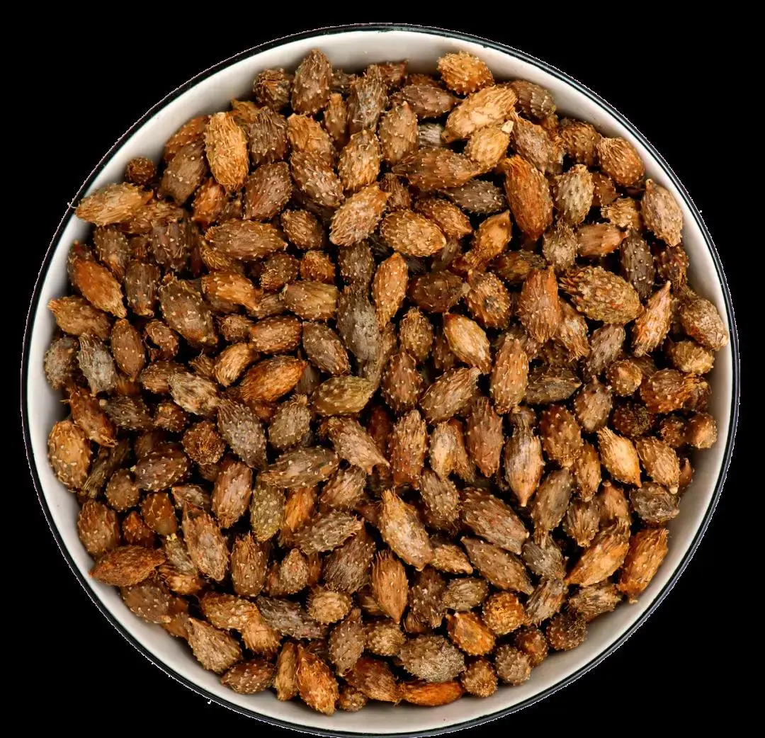 xanthium sibiricum fruit extract xanthium sibiricum fruit extract