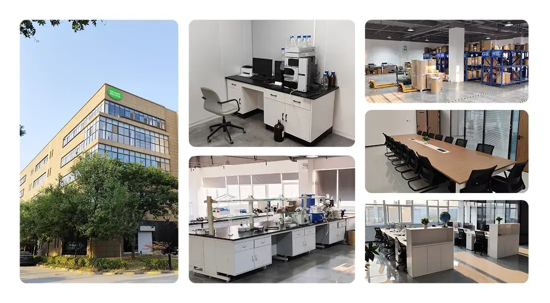 xanthium sibiricum fruit extract Factory, Lab, and R&D