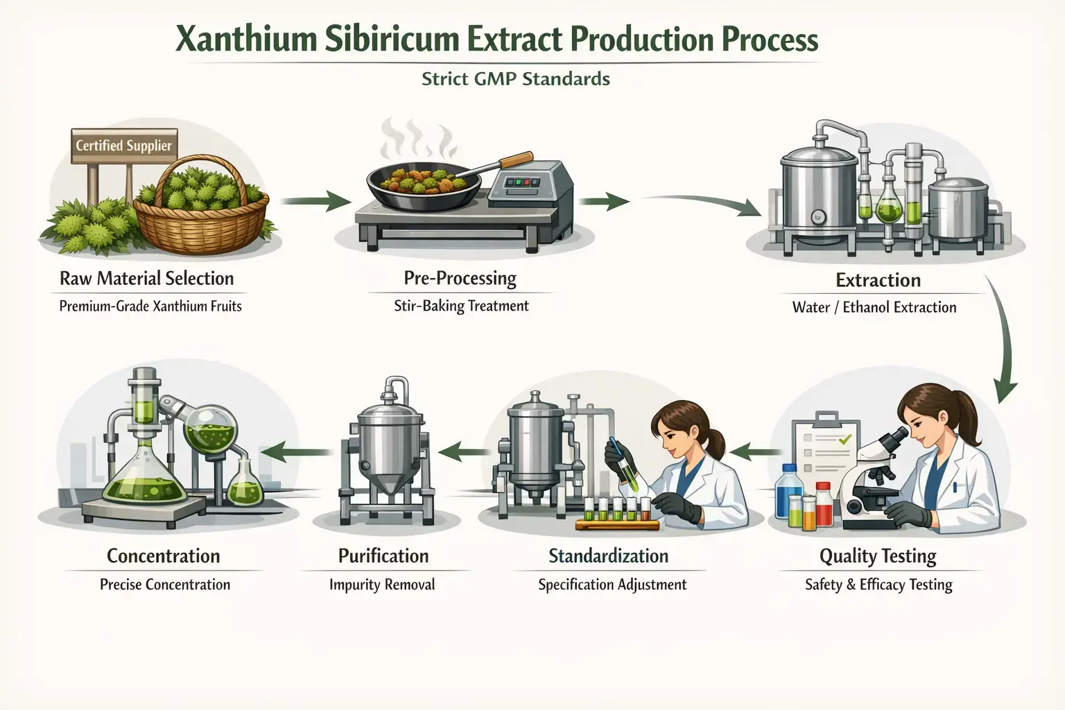 xanthium sibiricum extract Process