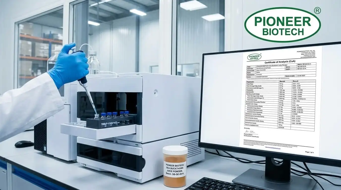 blog-1376-768 blog-1376-768