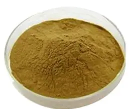 astragalus extract powder astragalus extract powder