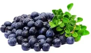 Blueberry extract anthocyanin