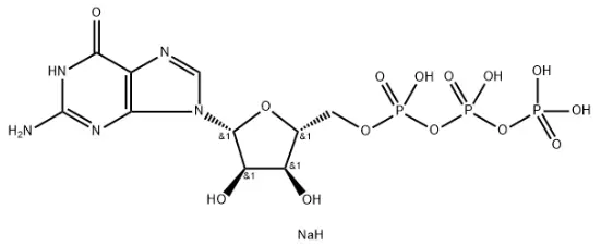 What is Guanosine-5'-triphosphate Disodium Salt? What is Guanosine-5'-triphosphate Disodium Salt?