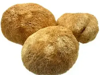 Kio estas la ekstrakto de Hericium Erinaceus? Kio estas la ekstrakto de Hericium Erinaceus?