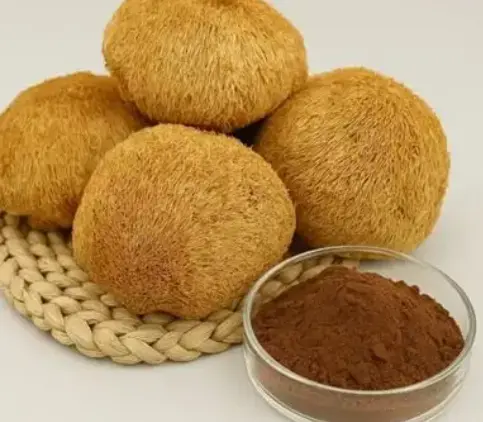 What is Organic Lion's Mane Mushroom Powder Bulk What is Organic Lion's Mane Mushroom Powder Bulk