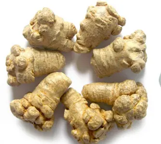 What is Panax Notoginseng Extract powder