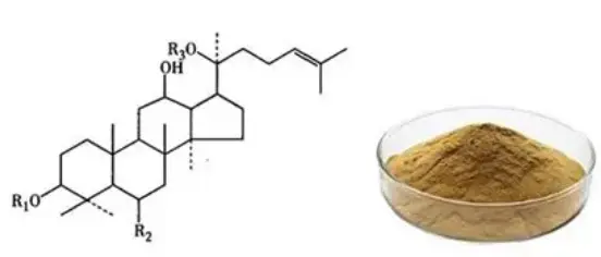 What is Panax Notoginseng Extract powder What is Panax Notoginseng Extract powder