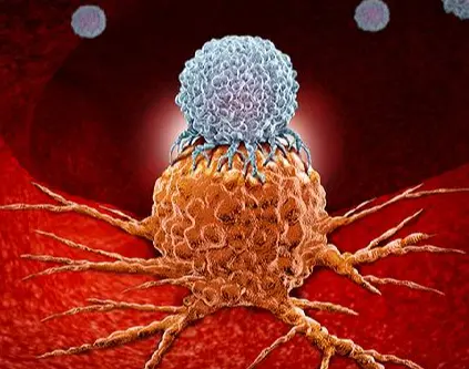 Core Product Functions