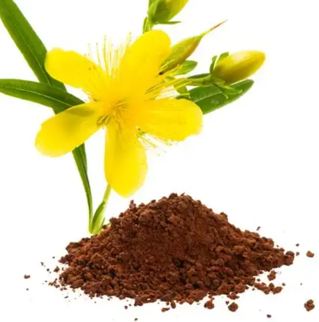 What is St. John's Wort Extract?