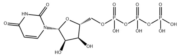 What is Uridine-5'-triphosphate trisodium salt? What is Uridine-5'-triphosphate trisodium salt?