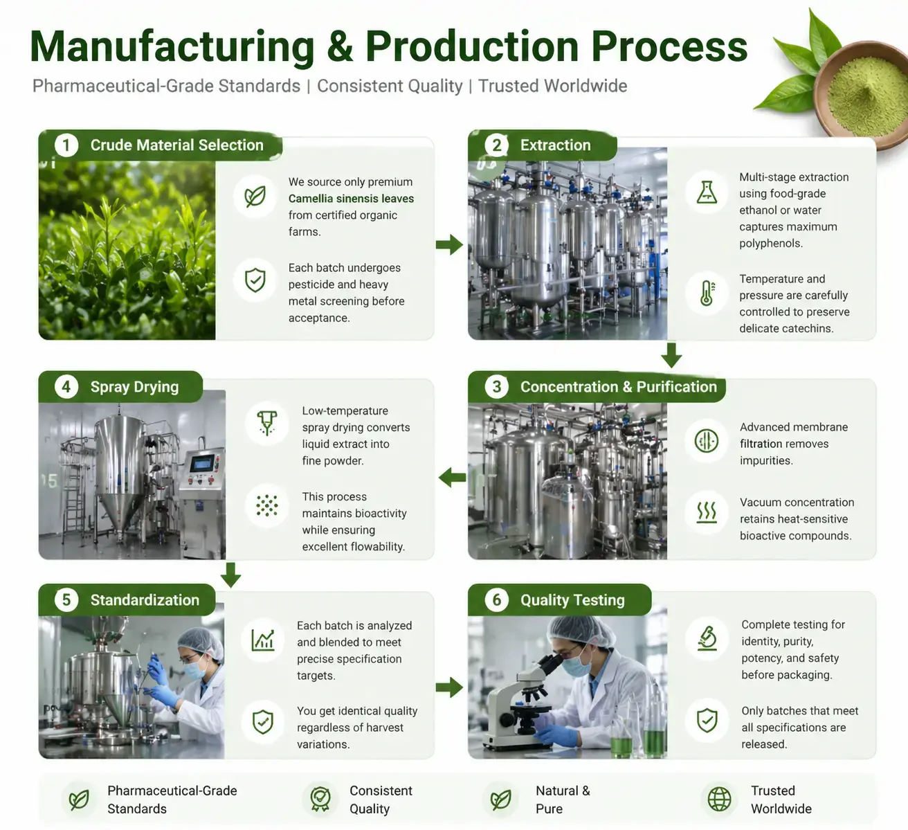 Manufacturing and Production Process Manufacturing and Production Process
