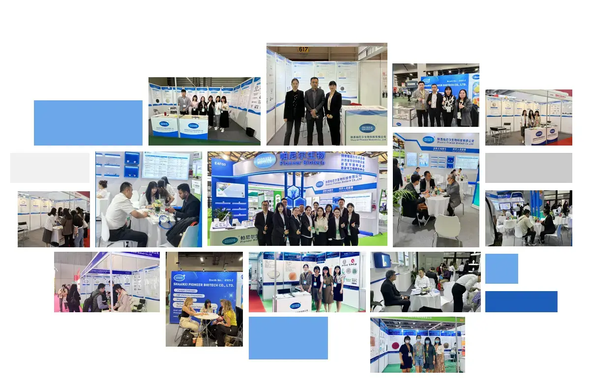 Company Exhibitions and Global Presence Company Exhibitions and Global Presence