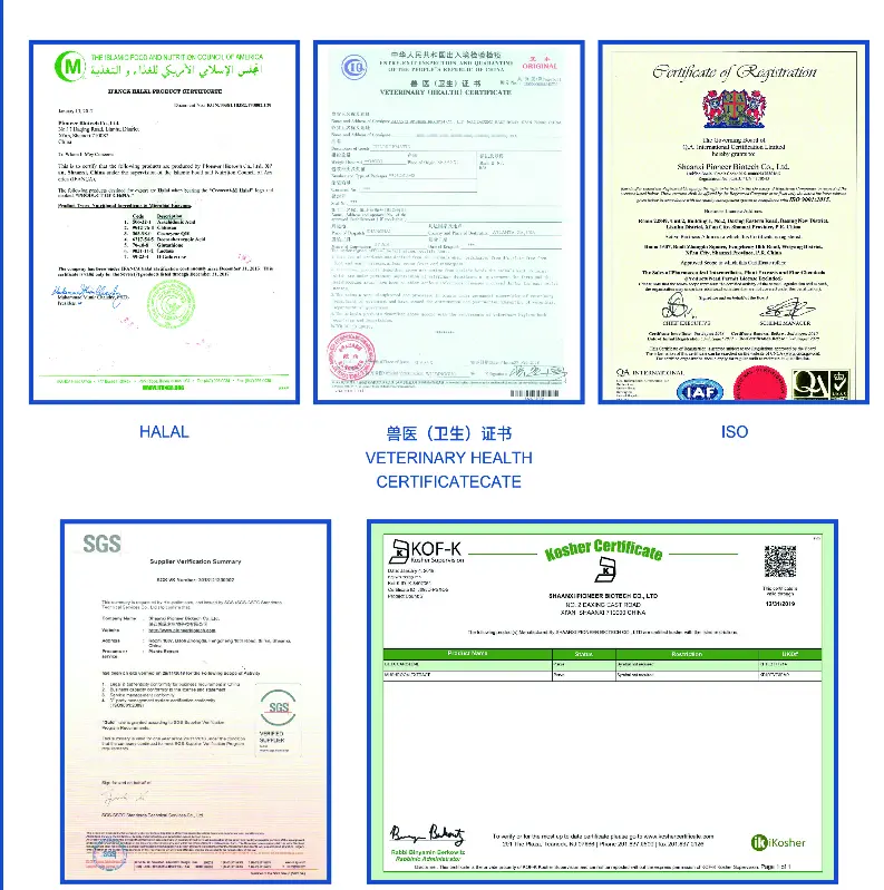Why Choose Pioneer as Your Gluconolactone Powder Supplier?