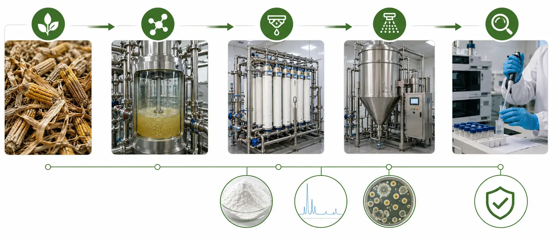 Manufacturing and Production Process Manufacturing and Production Process