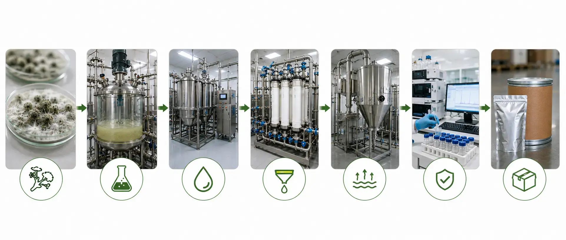 Manufacturing and Production Process
