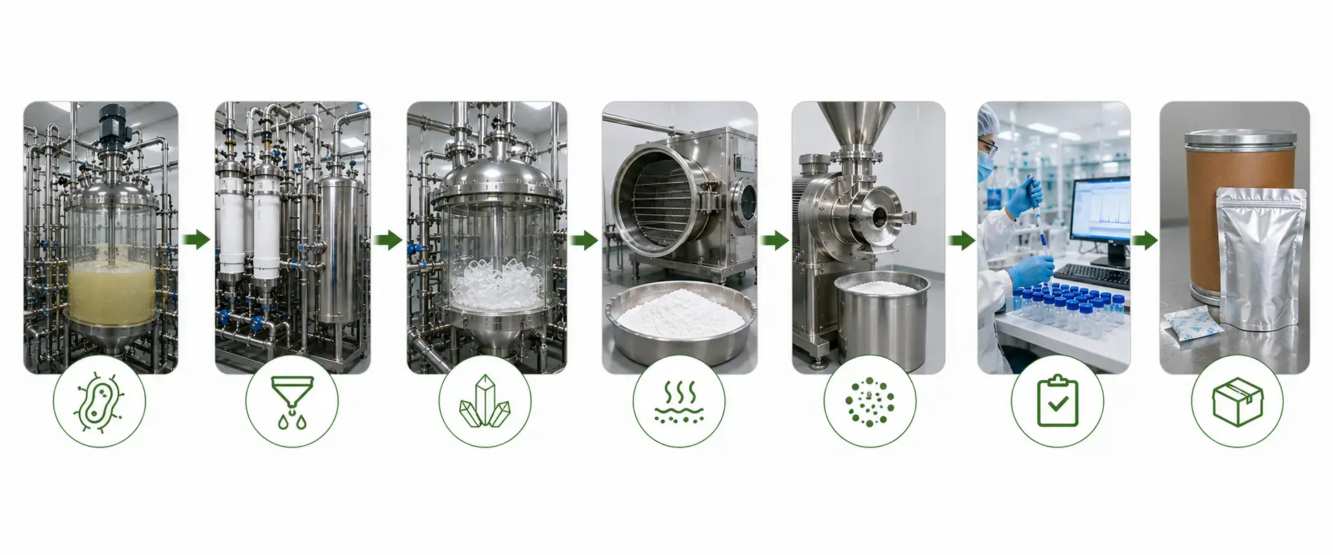 Manufacturing and Production Process