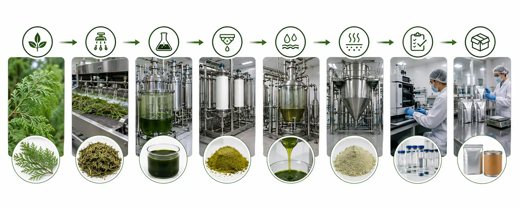 Manufacturing and Production Process