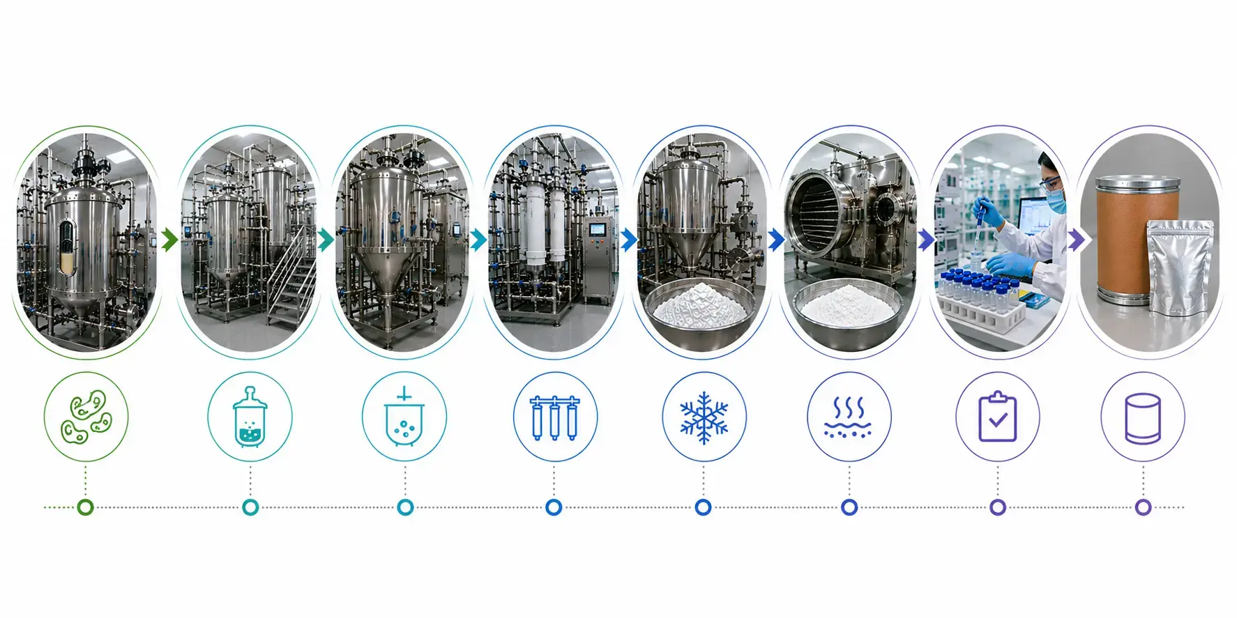 Manufacturing and Production Process Manufacturing and Production Process