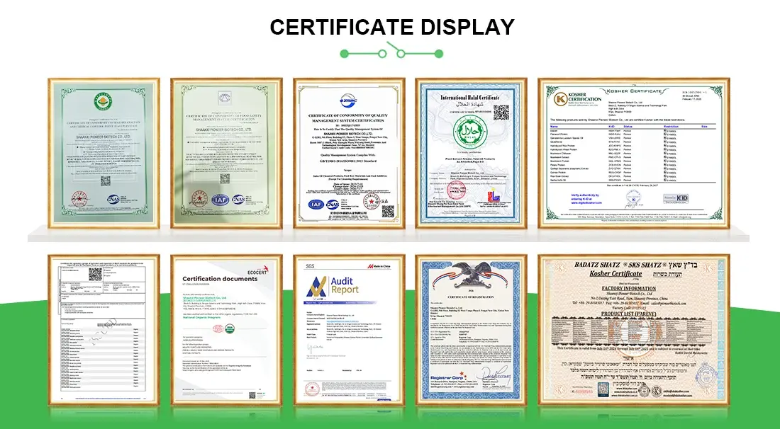 certificate certificate