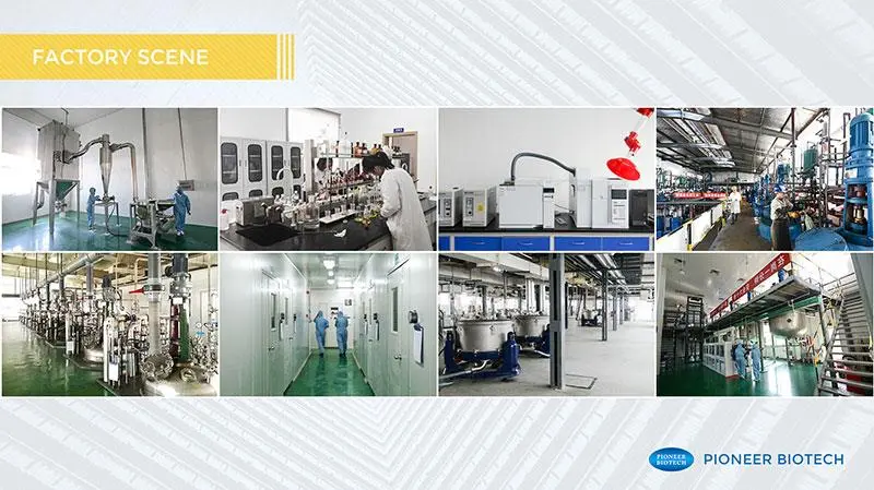 factory factory