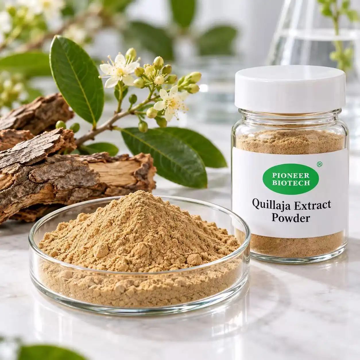 Quillaja Extract Powder: Properties, Uses, and Health Benefits