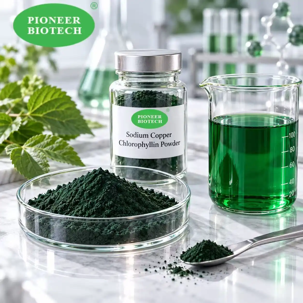 What is Sodium Copper Chlorophyllin and its Benefits?