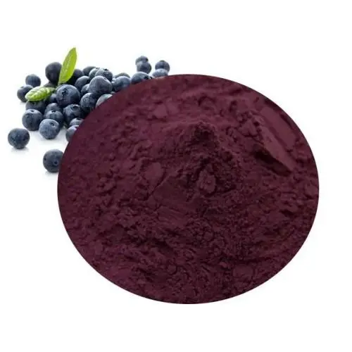 Blueberry Extract vs. Bilberry Extract: Key Differences
