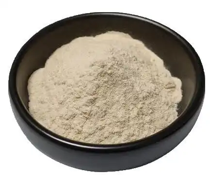 Leading Nattokinase Powder Manufacturers for Global Supply