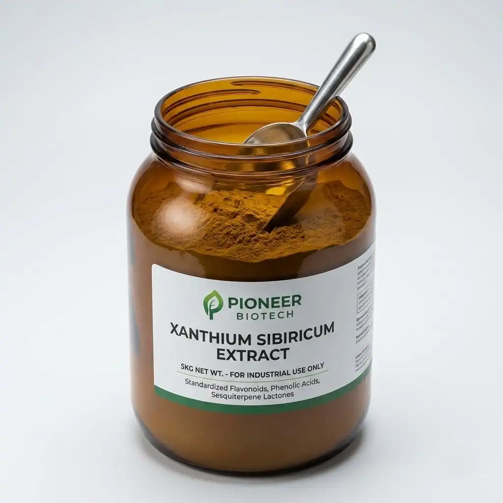 Pojasnjene aktivne spojine v izvlečku Xanthium Sibiricum