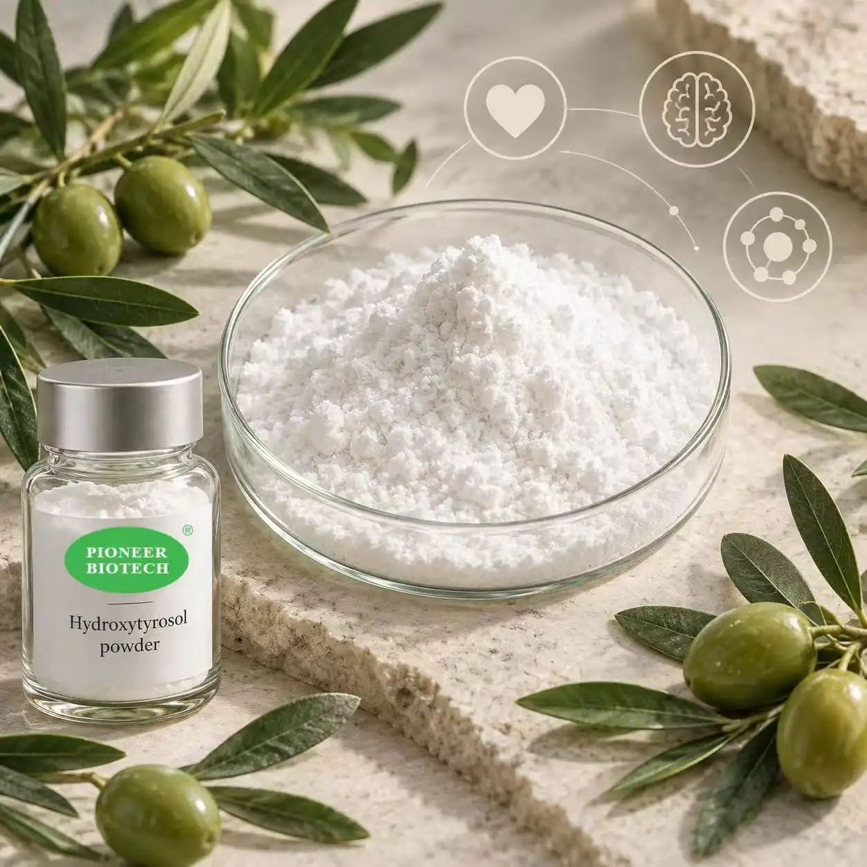 How Hydroxytyrosol Supports Health & Wellness?